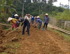 DA làm đường thôn Quang Vinh