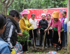 Tập huấn làm phân vi sinh